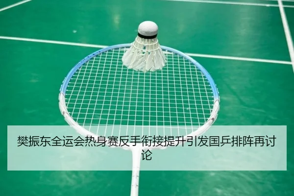 樊振东全运会热身赛反手衔接提升引发国乒排阵再讨论