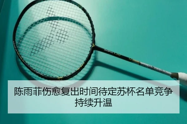 陈雨菲伤愈复出时间待定苏杯名单竞争持续升温